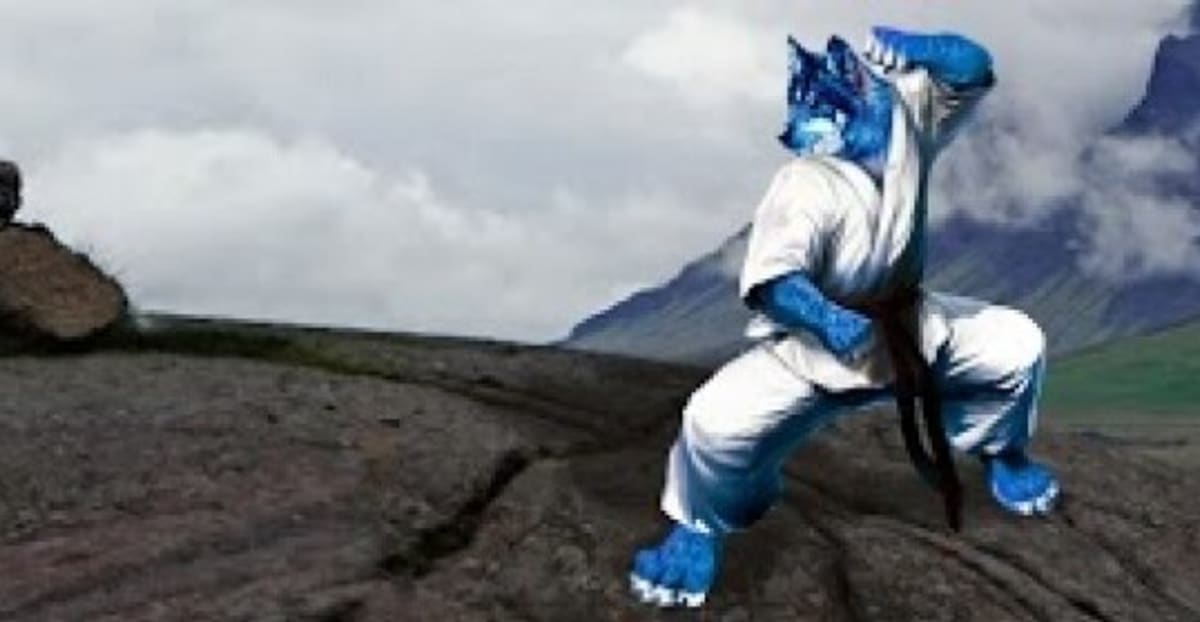 Okami Aikido - Karate a O Porriño