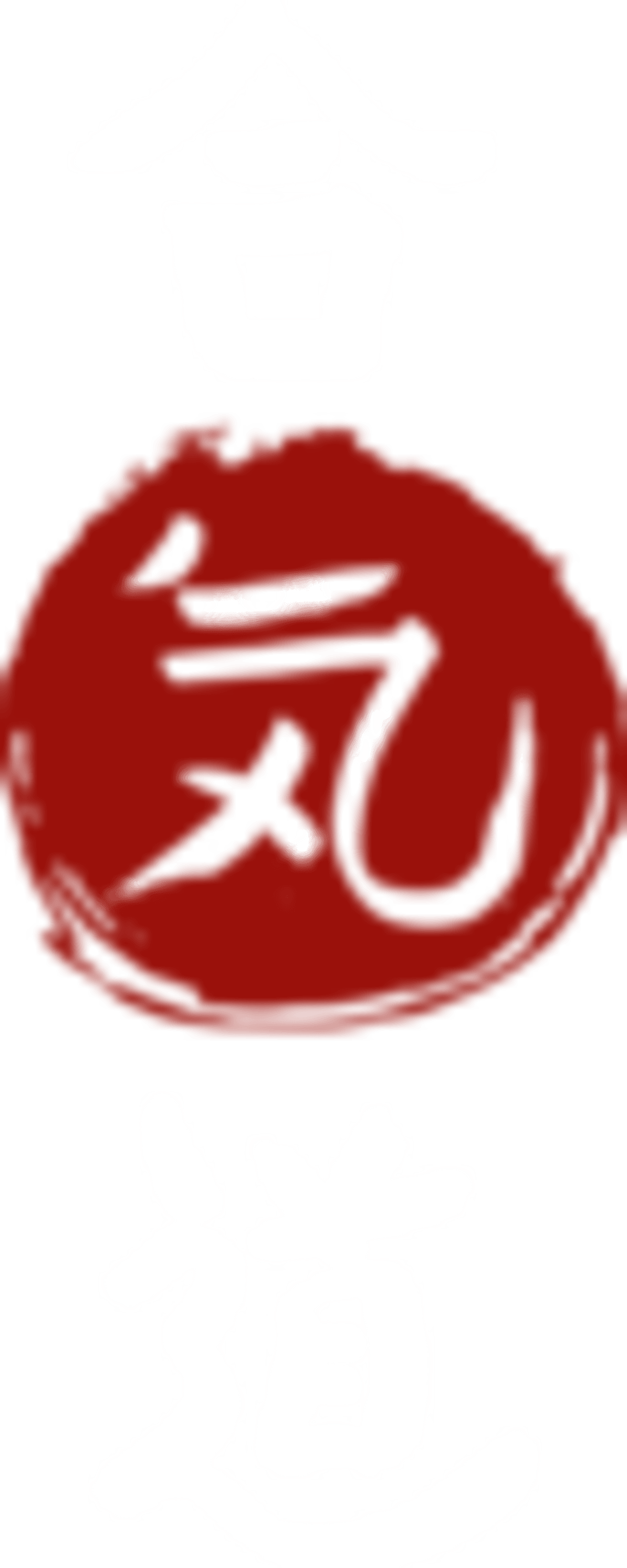 Dojo Chushinkan | Aikido Pamplona - Judo in Pamplona