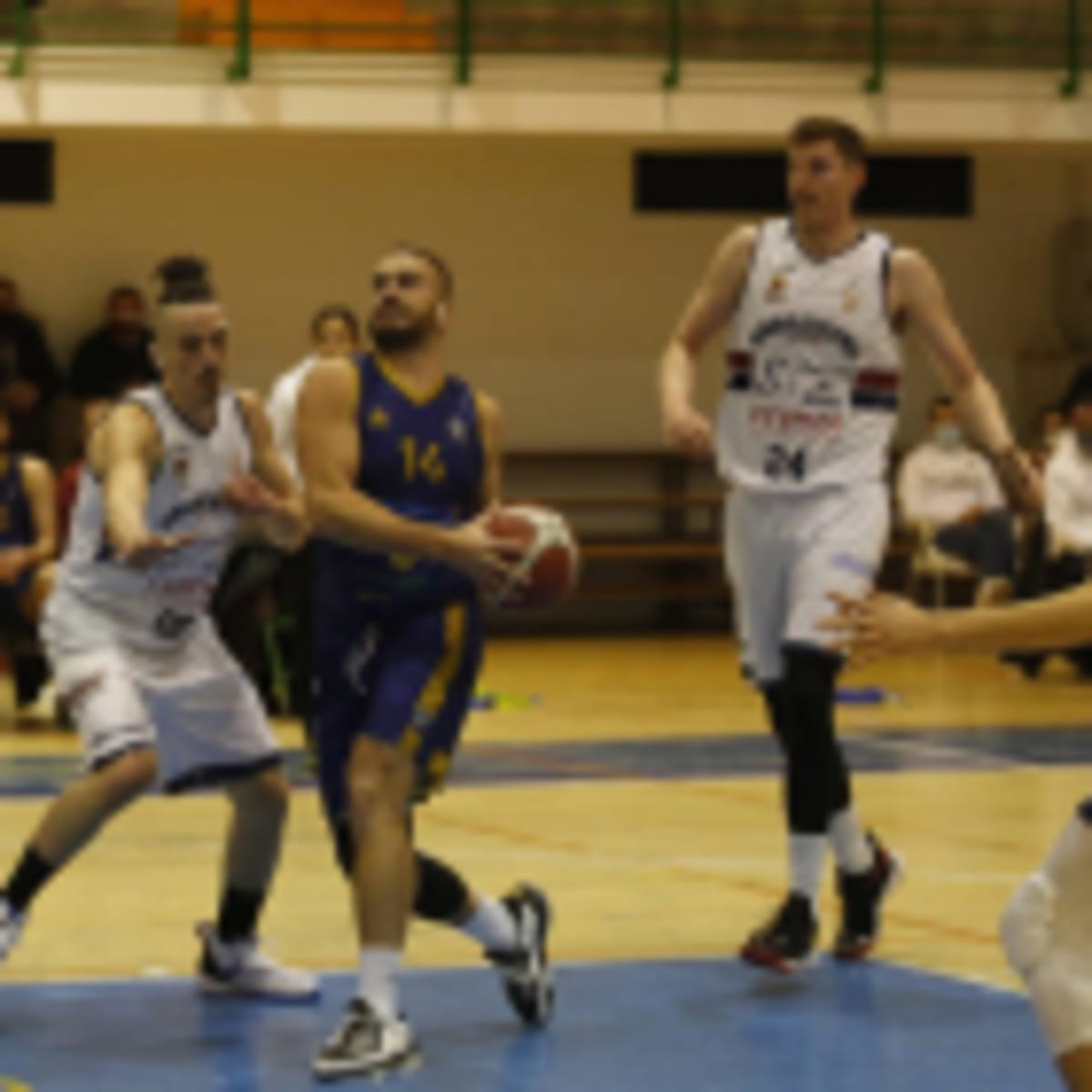 CB Reino de León - Baloncesto en León