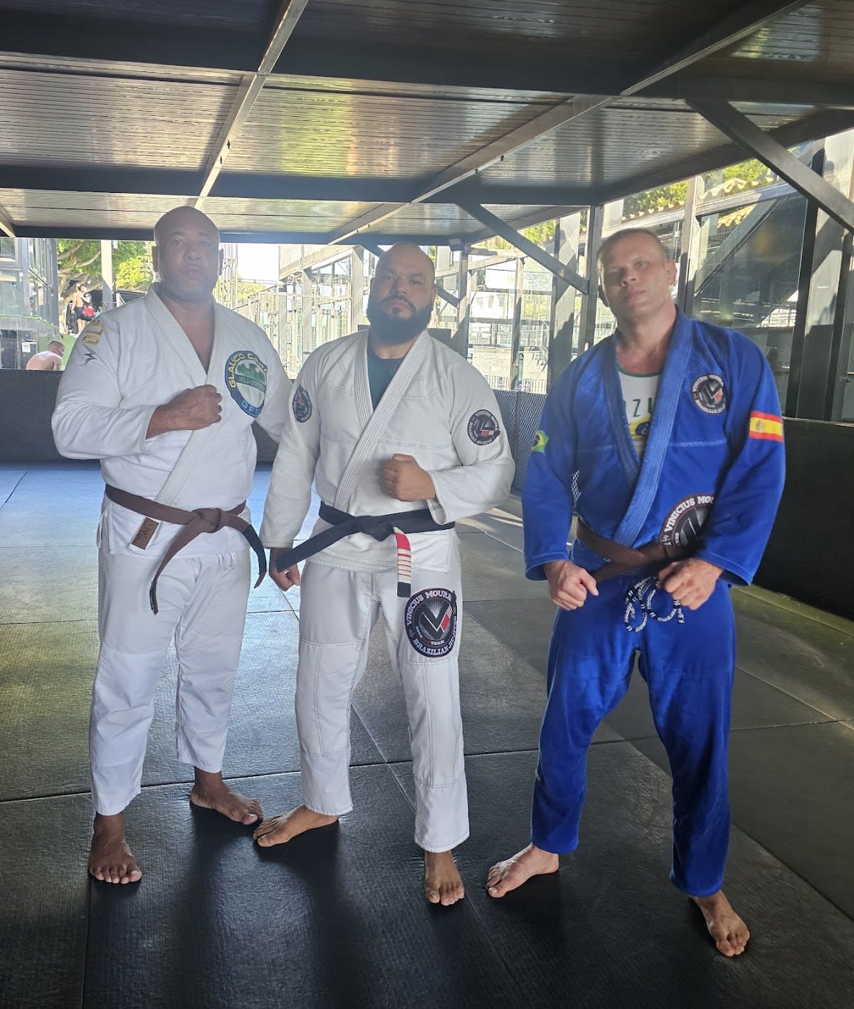 Vinicius Moura Brazilian Jiu Jitsu - Karate in Marbella