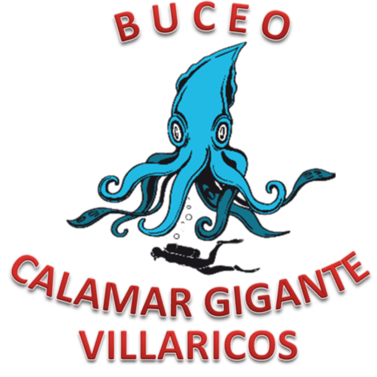 ACTIVIDADES SUBACUÁTICAS CALAMAR GIGANTE - Kitesurf a Villaricos