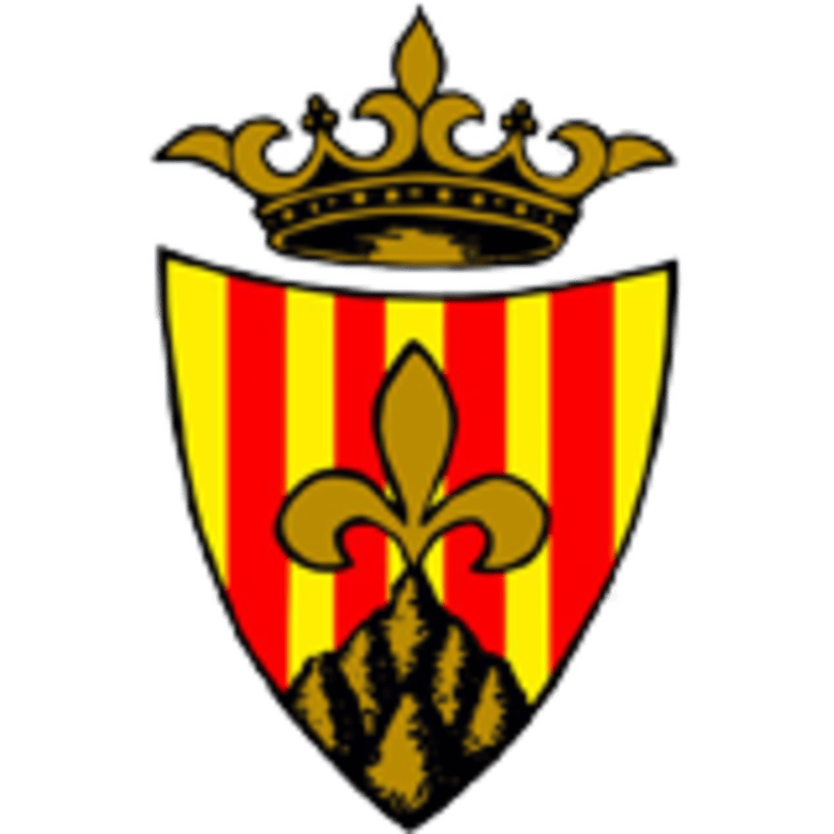 Camp Futbol Municipal d' Esports - Fútbol in Agramunt