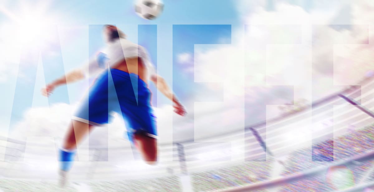 ANEFF Academia Nacional de Entrenadores de Fútbol - Fútbol a Getafe