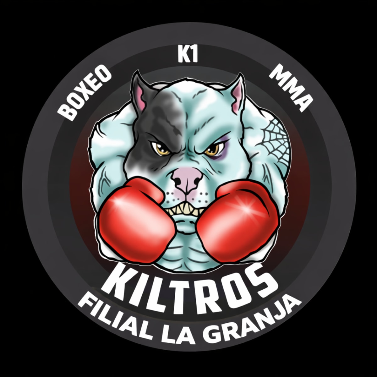 UMITEN DOJO - Judo in Lleida