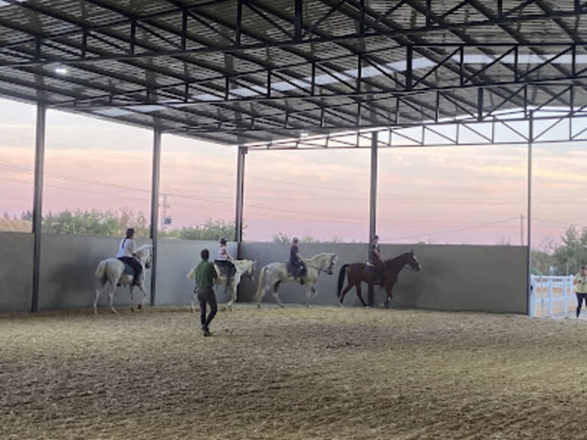 Horse Society Lebrera - Tenis a Badajoz