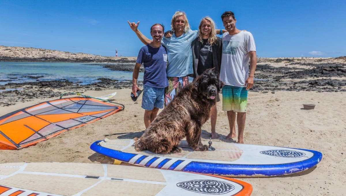 Fala Surf School - Surf a Majanicho