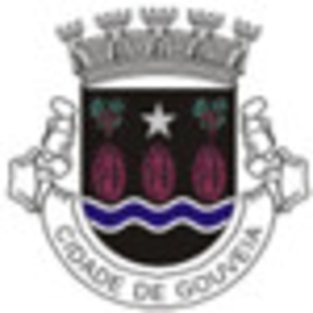 Centro Bujutsu de Mangualde - Karate en Mangualde