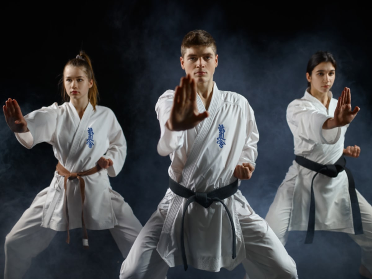 Shinseiken Dojo Artes Marciales - Karate in Almería
