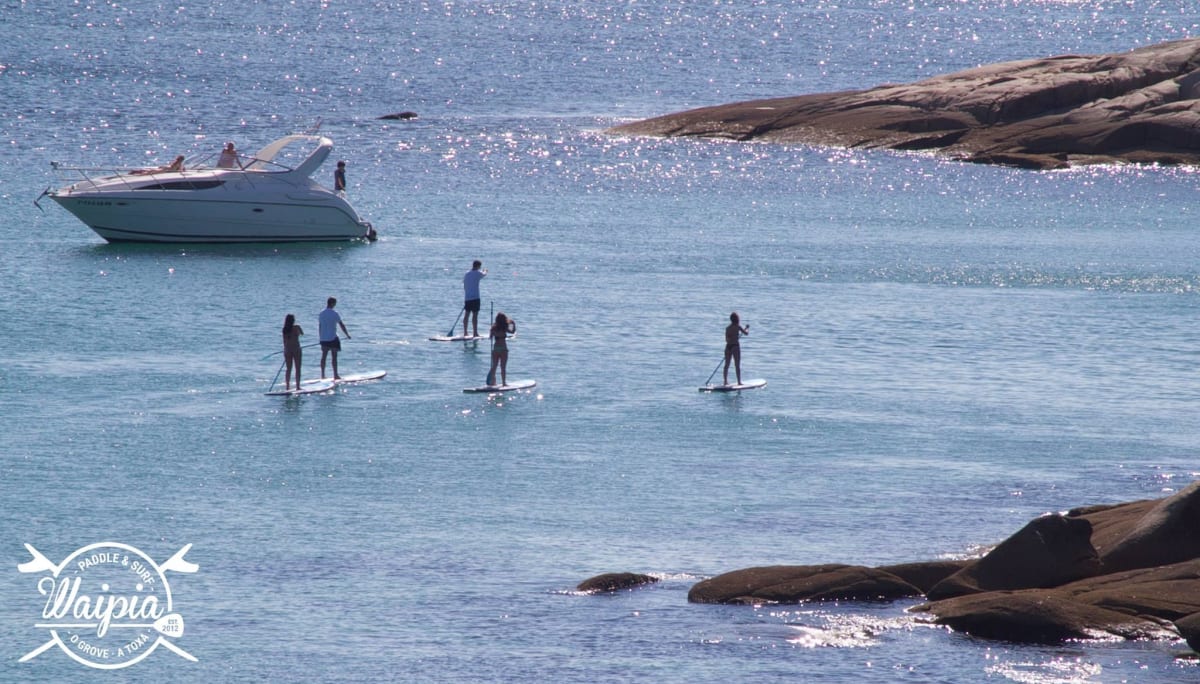 Alquiler pàdel surf DAC - Surf a San Vicente do Grove (San Vicente)