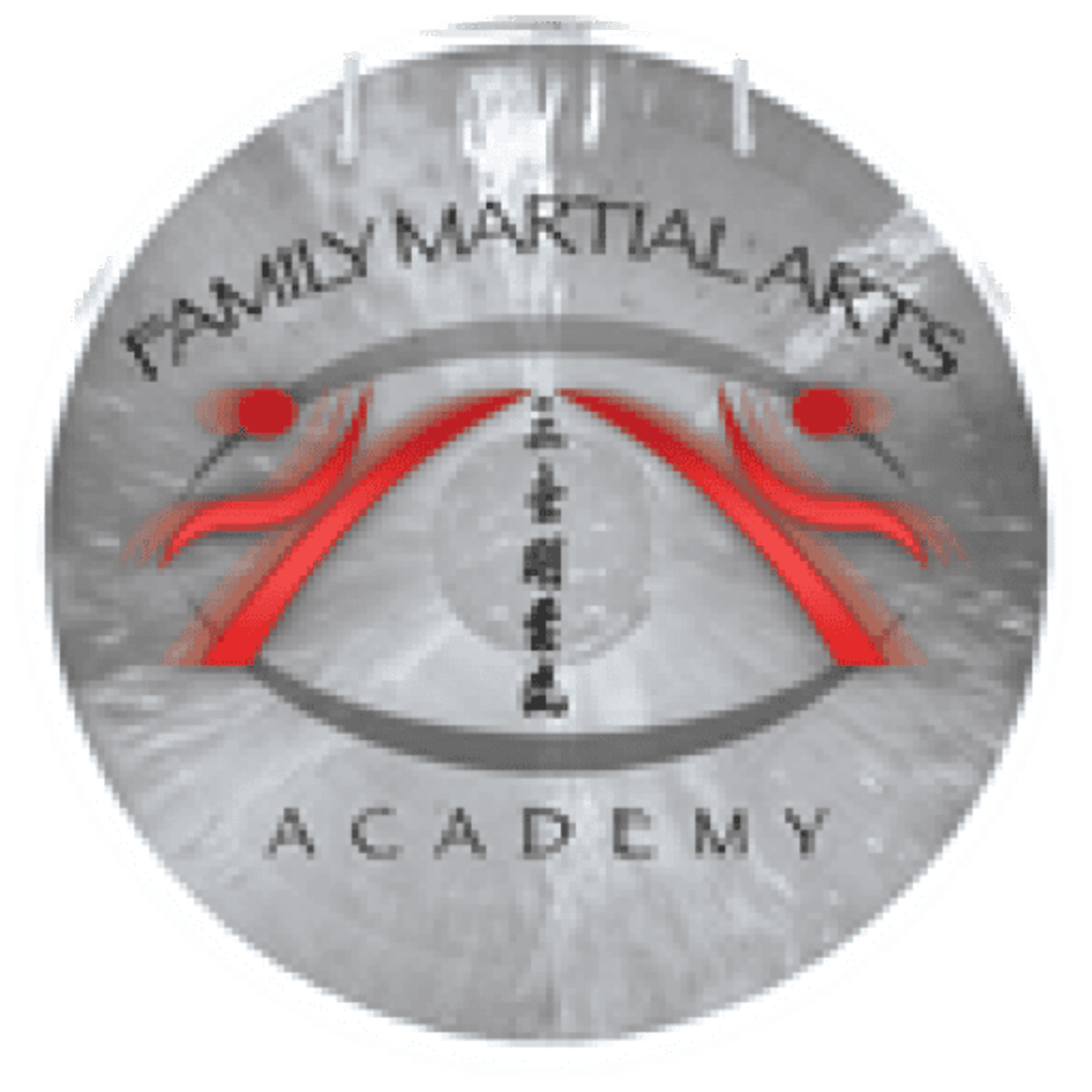 Family Martial Arts Academy - Karate a Miami