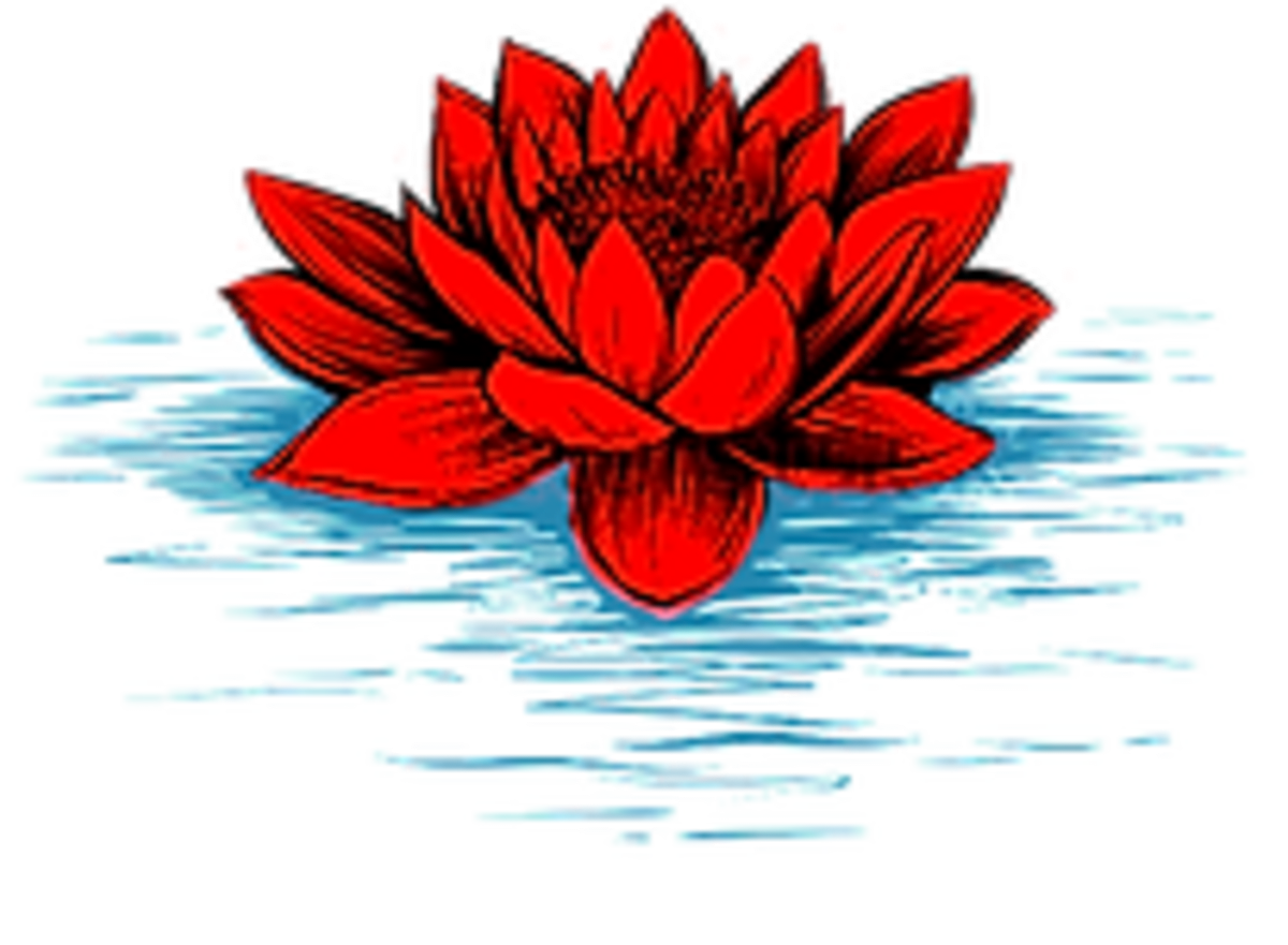 Escuela De Artes Marciales NAM KUN Rivas - Karate en Rivas-Vaciamadrid