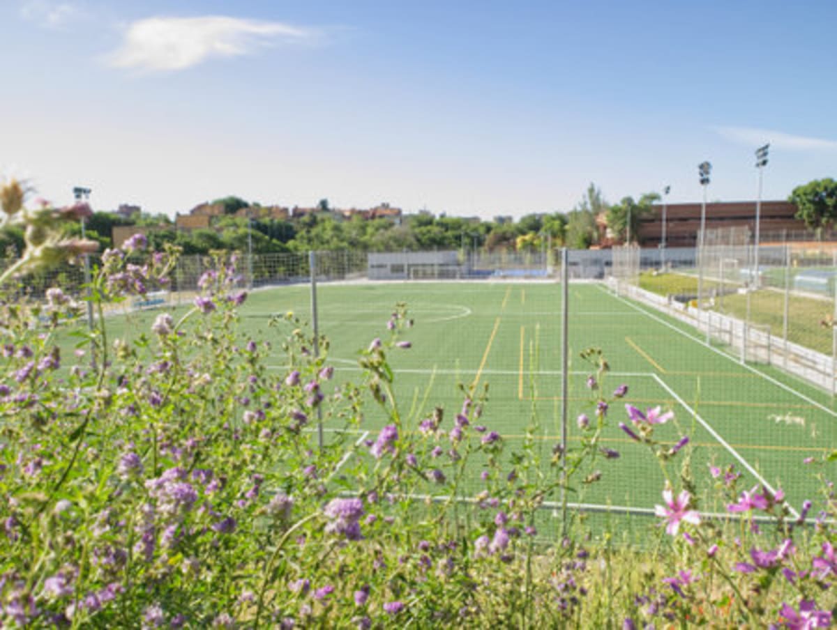 Municipal soccer field Pedro Escartín - Rugby in Guadalajara