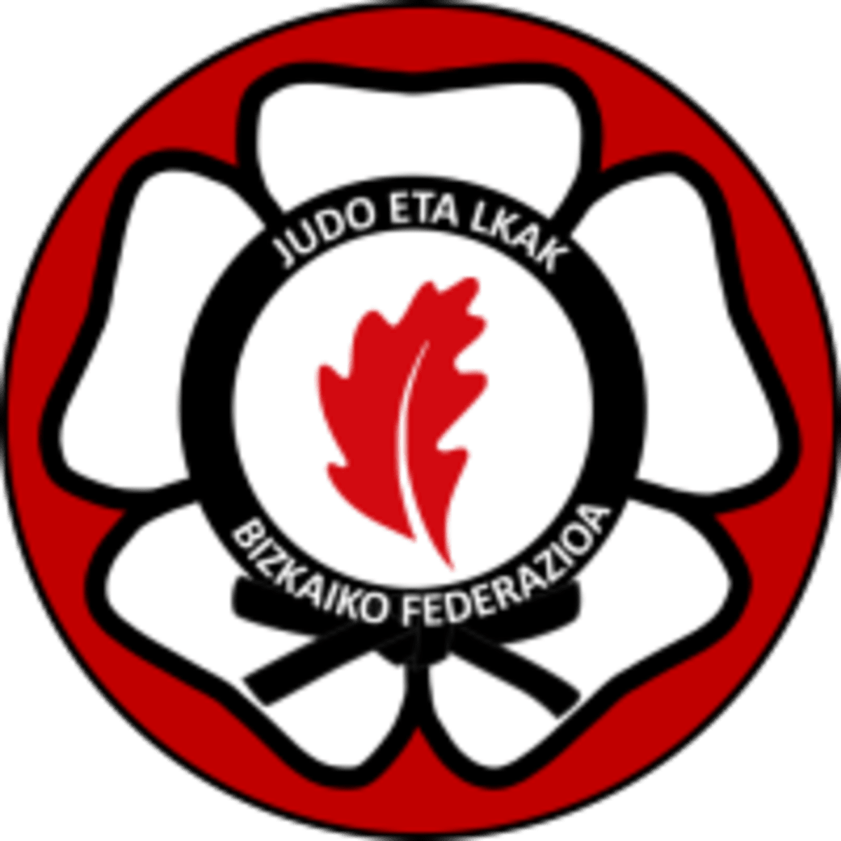 Federación Bizkaina de Judo y DD.AA. - Judo in Bilbao