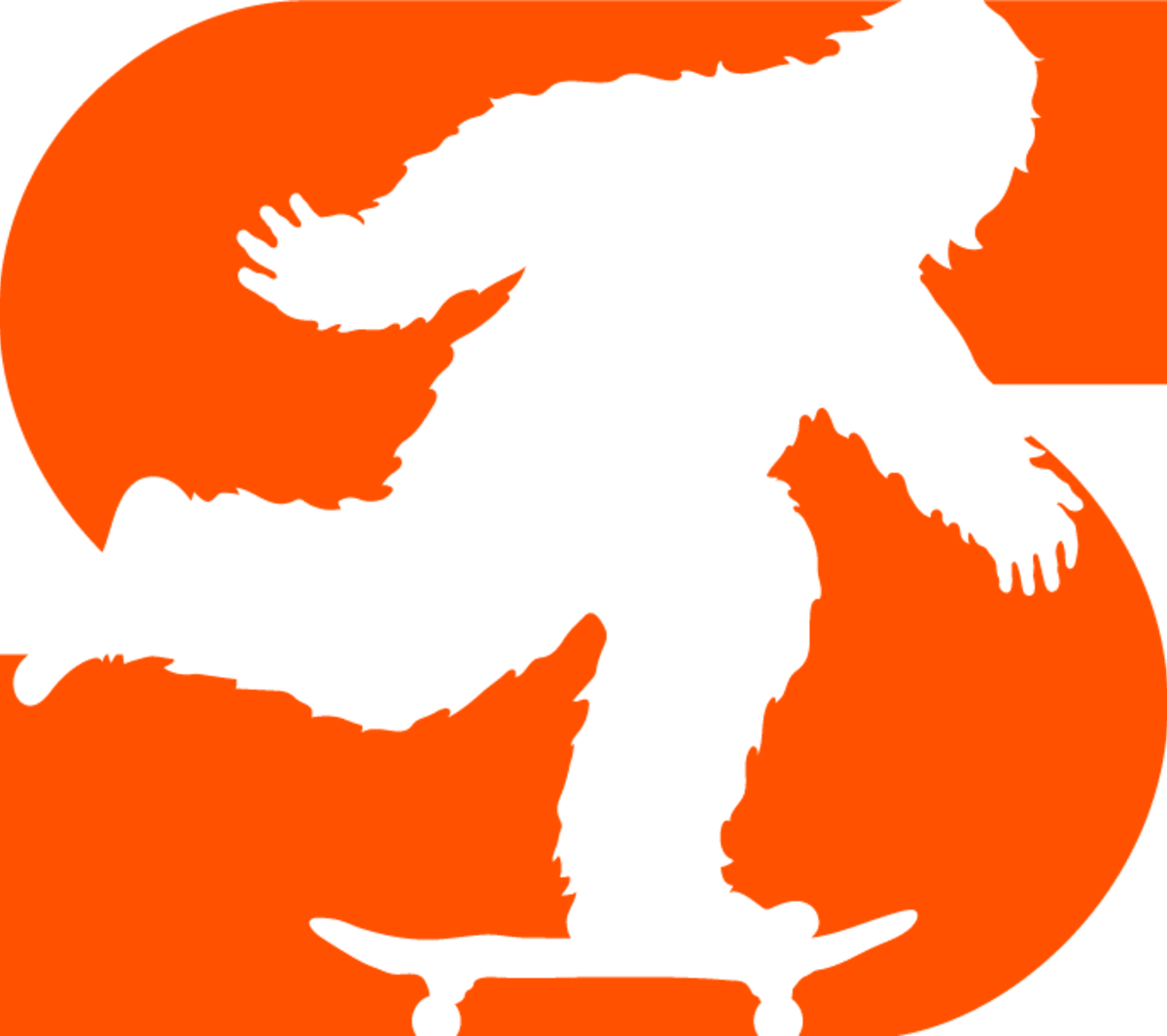 Seek Skateboard Camp - Skateboard a Sandy