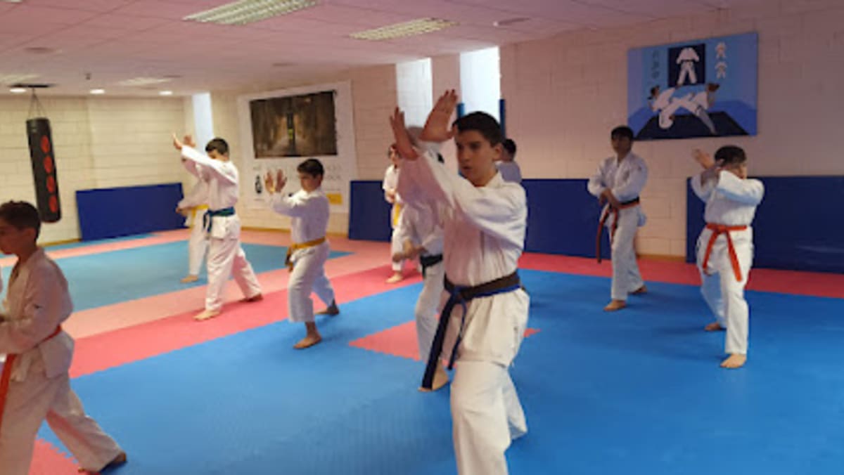 Mc Academy Antequera - Karate en Antequera