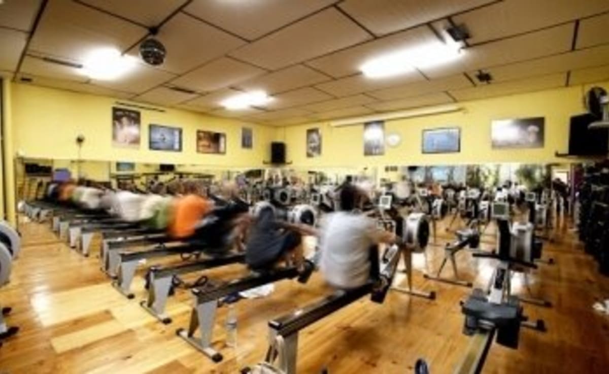 Gimnasio Shotokan Novelda | Gimnasio en Novelda, Karate en Novelda y Gimnasia en Novelda - Karate a Novelda