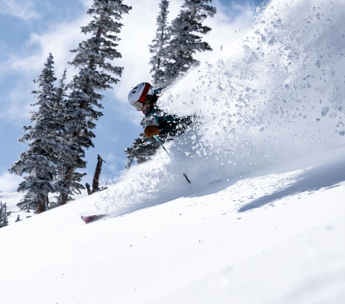 Ski Market - Ski en Las Rozas de Madrid