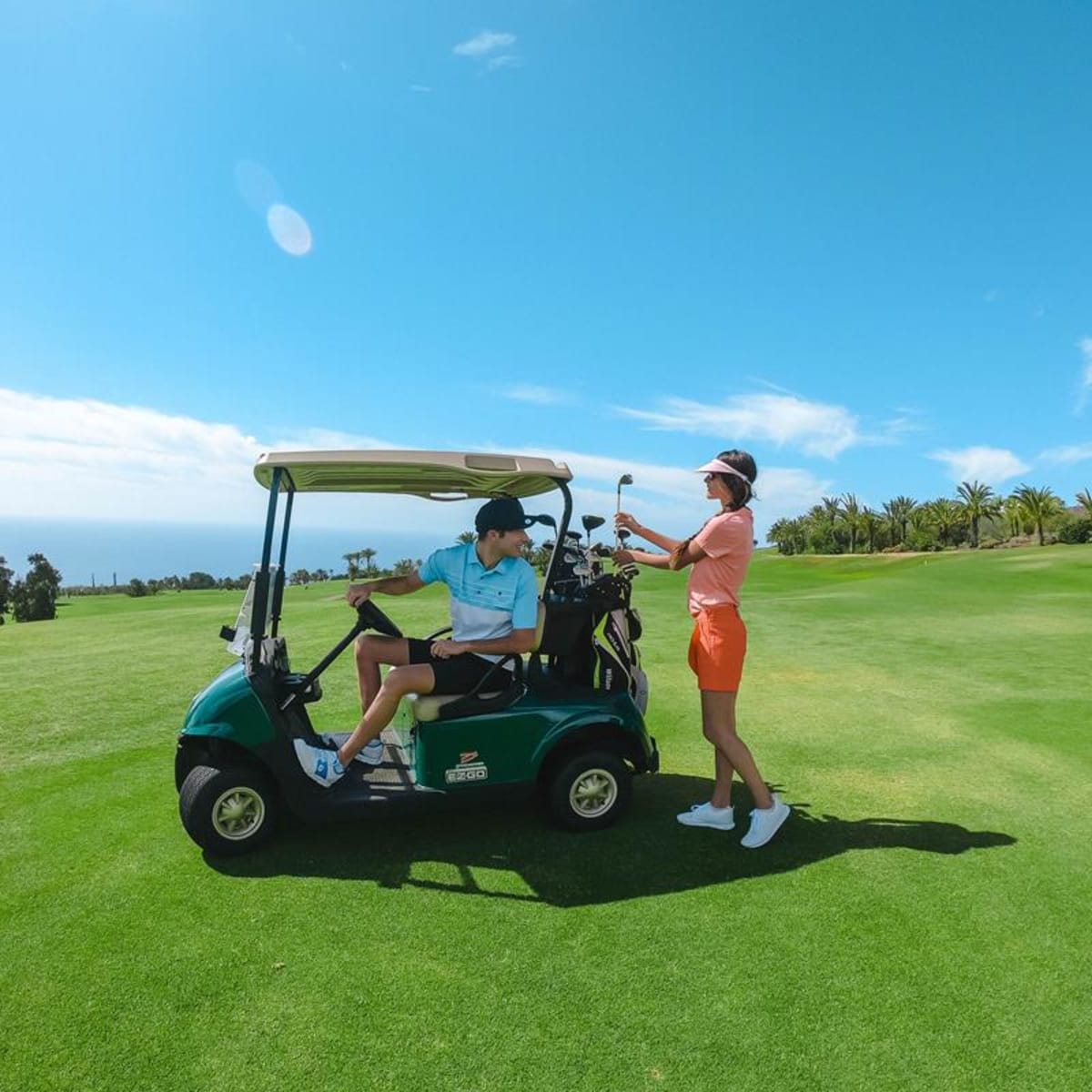 Tecina Golf - Golf a Playa Santiago