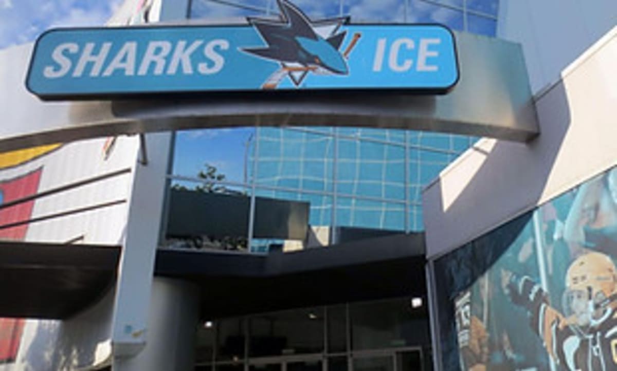 ICEZONE - Skateboard en Pulianas