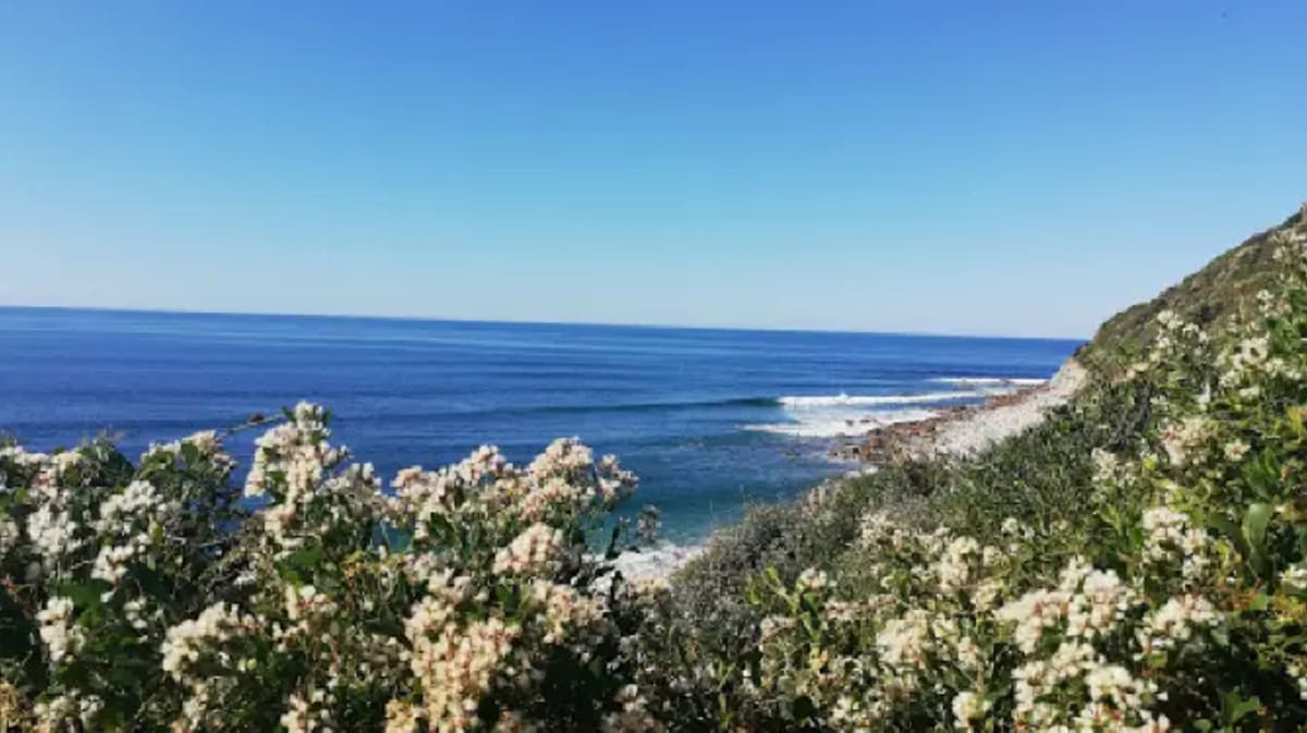 Mahi-Mahi Surf School, School And During Surf De Biarritz - Kitesurf a Biarritz