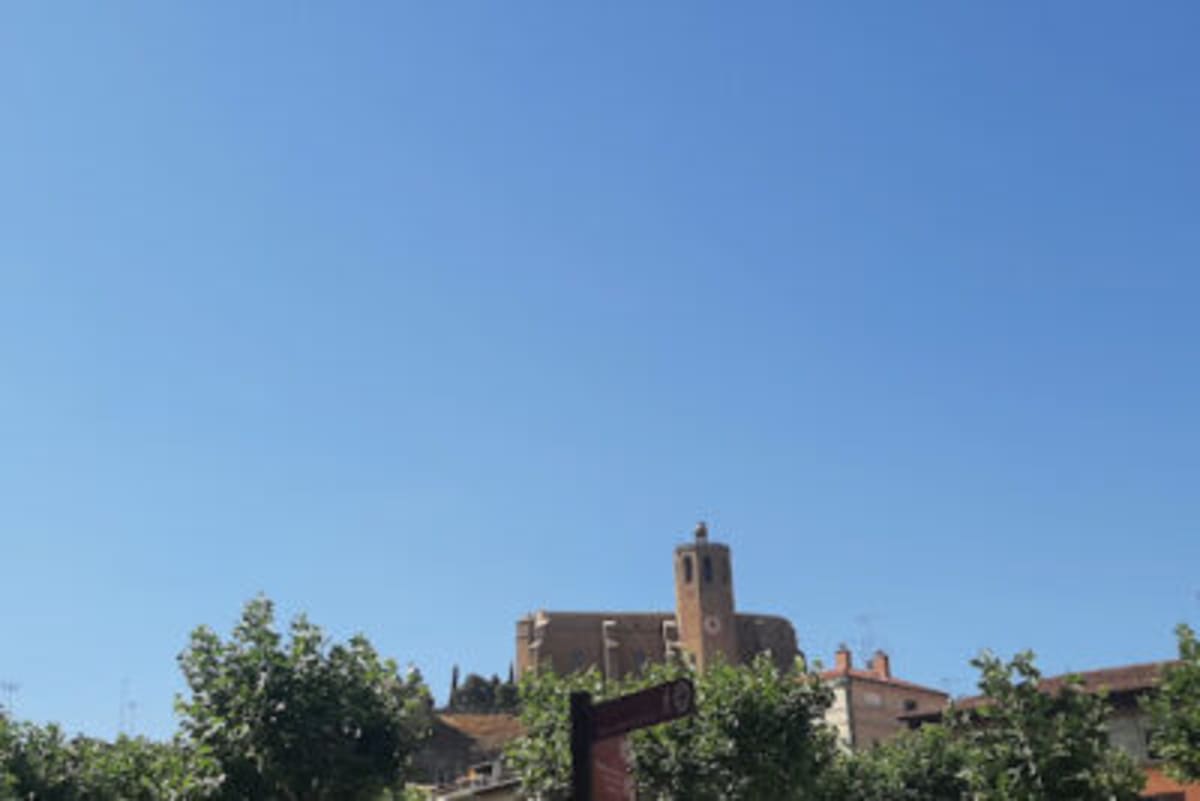 Quebo Family - Judo in Balaguer