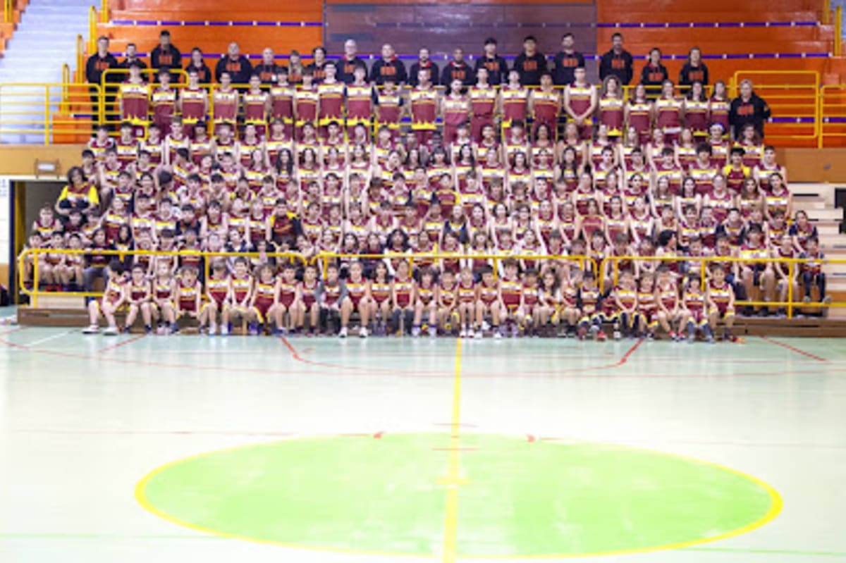 Club Baloncesto Navalcarnero, CBN - Baloncesto a Navalcarnero