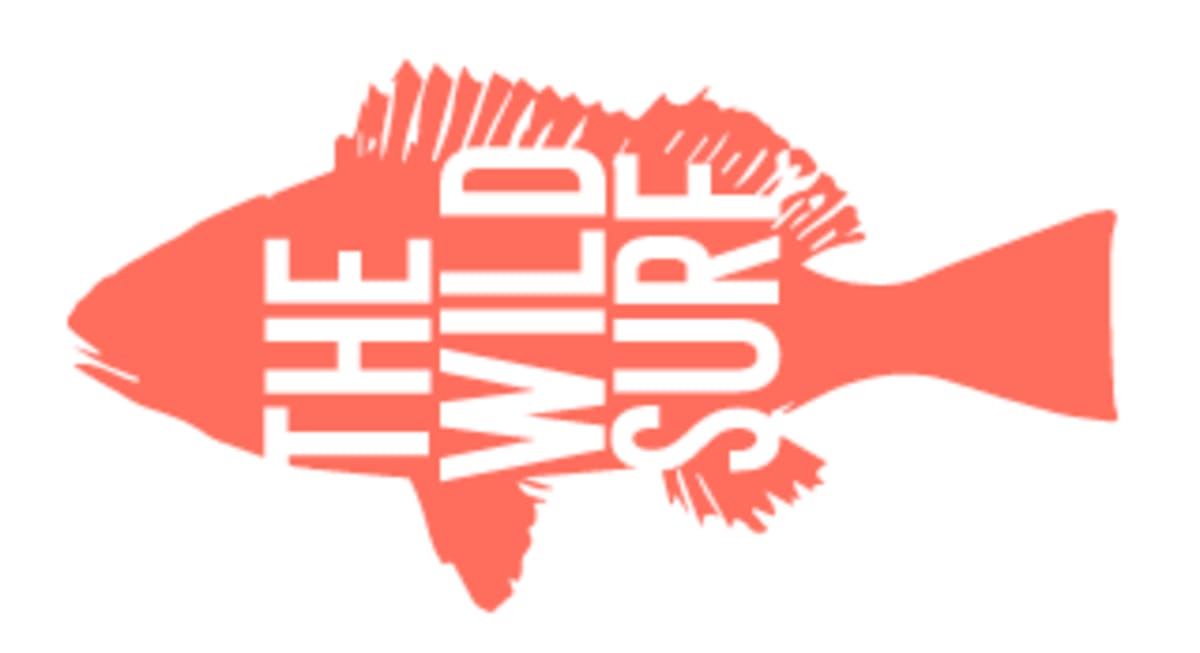 The Wild Surf Fuerteventura - Surf a Corralejo