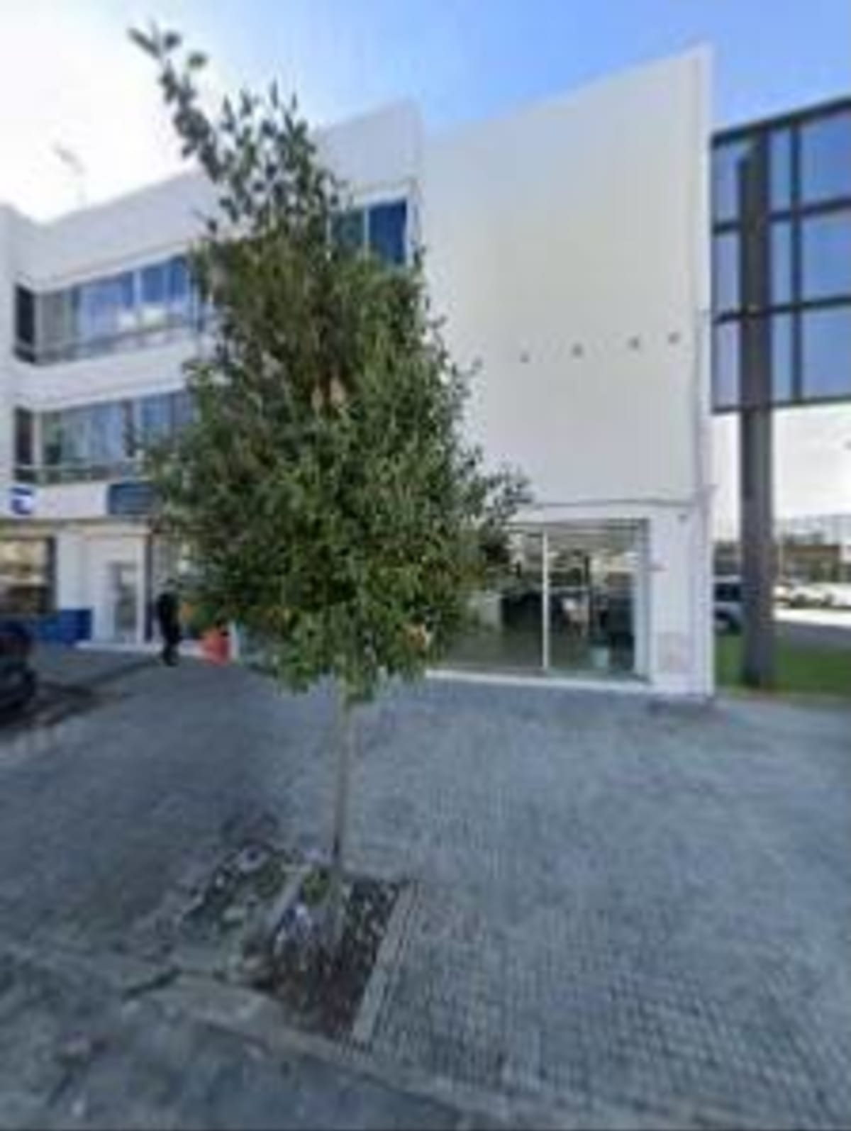 RC FightClub - Karate a Manacor