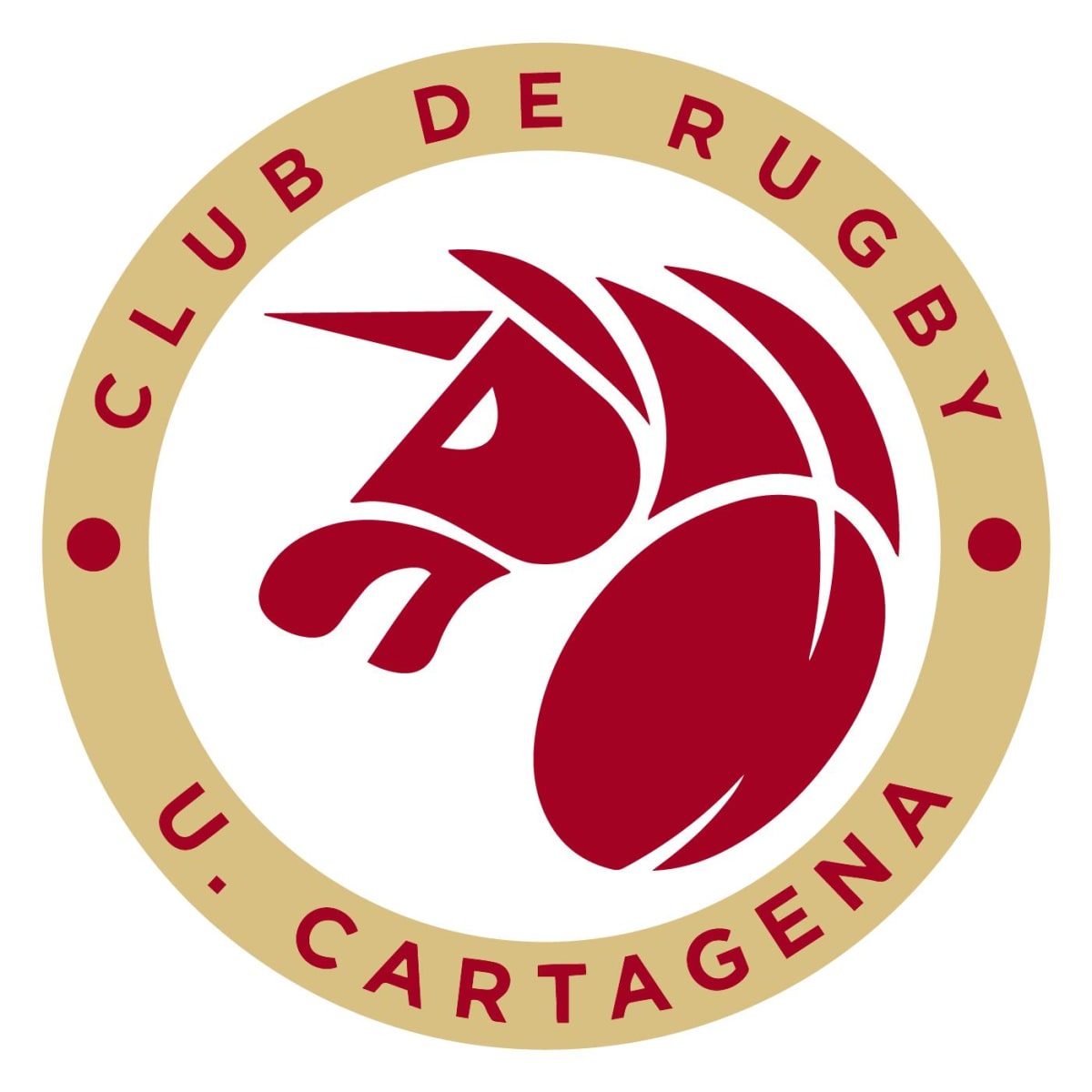 Club de Rugby Universitario Cartagena - Rugby en Cartagena