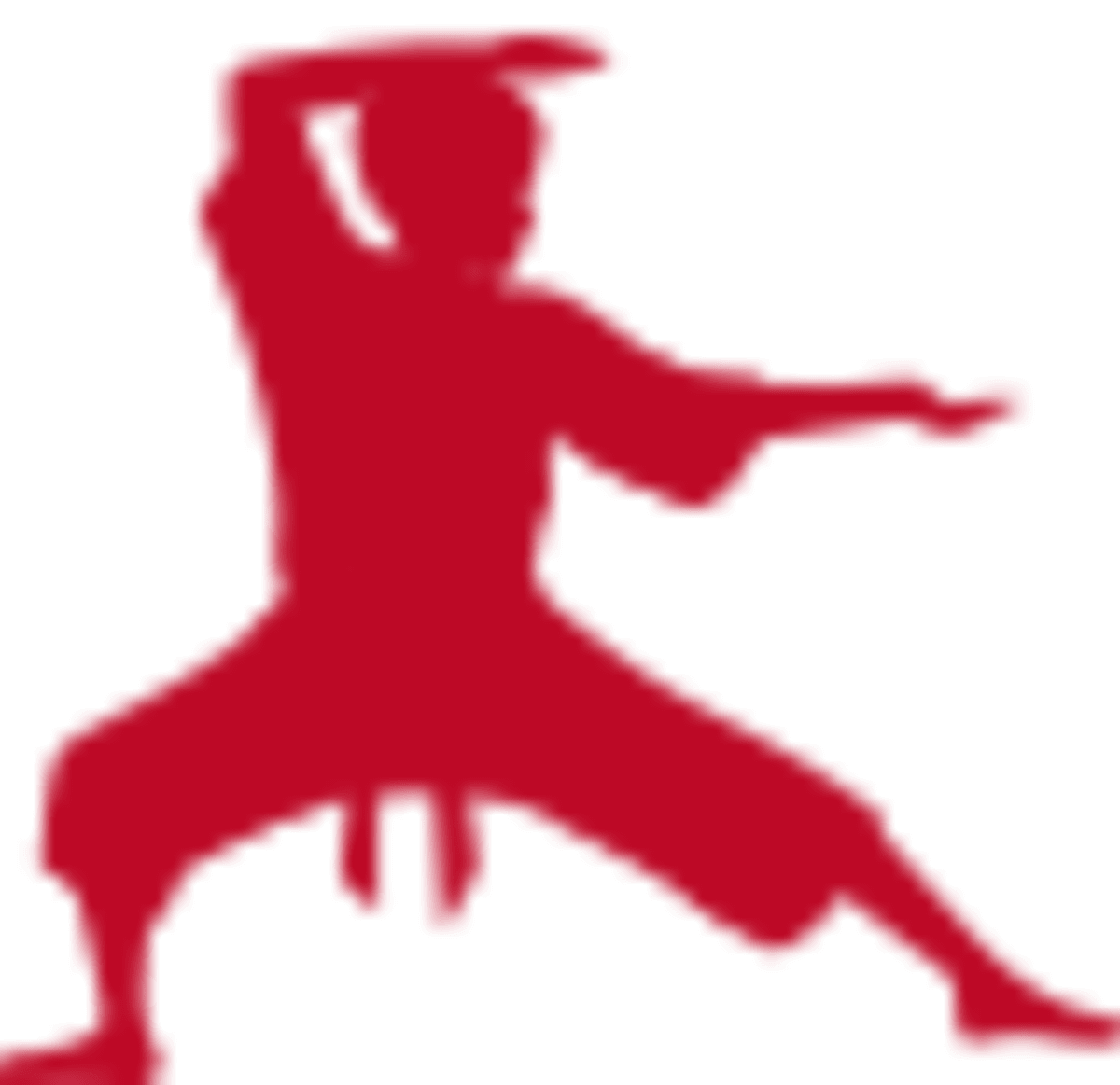 Gipuzkoako Karate Federazioa - Karate a Donostia / San Sebastián