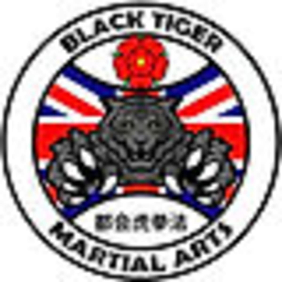 Black tiger academy - Karate a La Roda