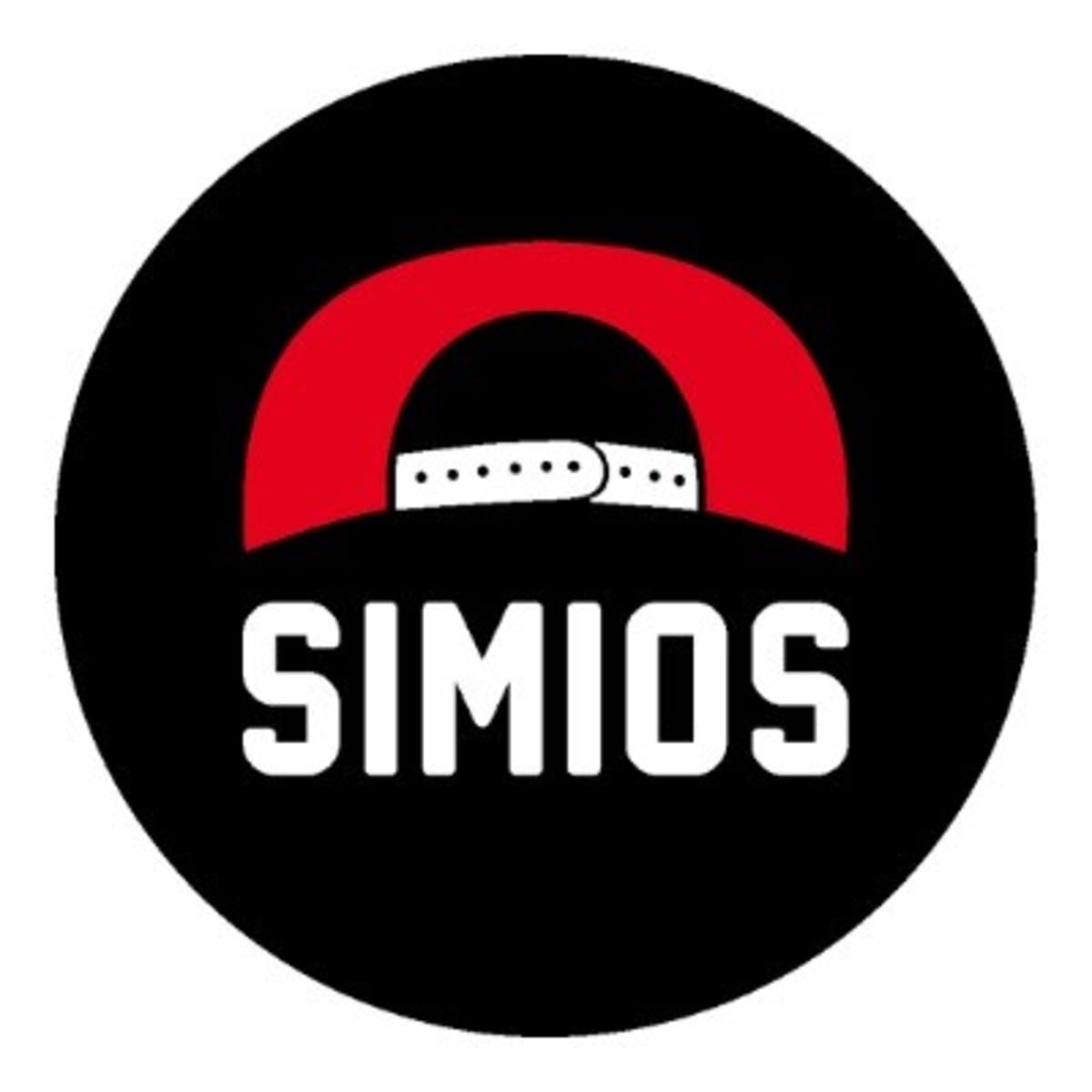 Escuela de Skate - SIMIOS ANDANDO - Skateboard a Buenos Aires