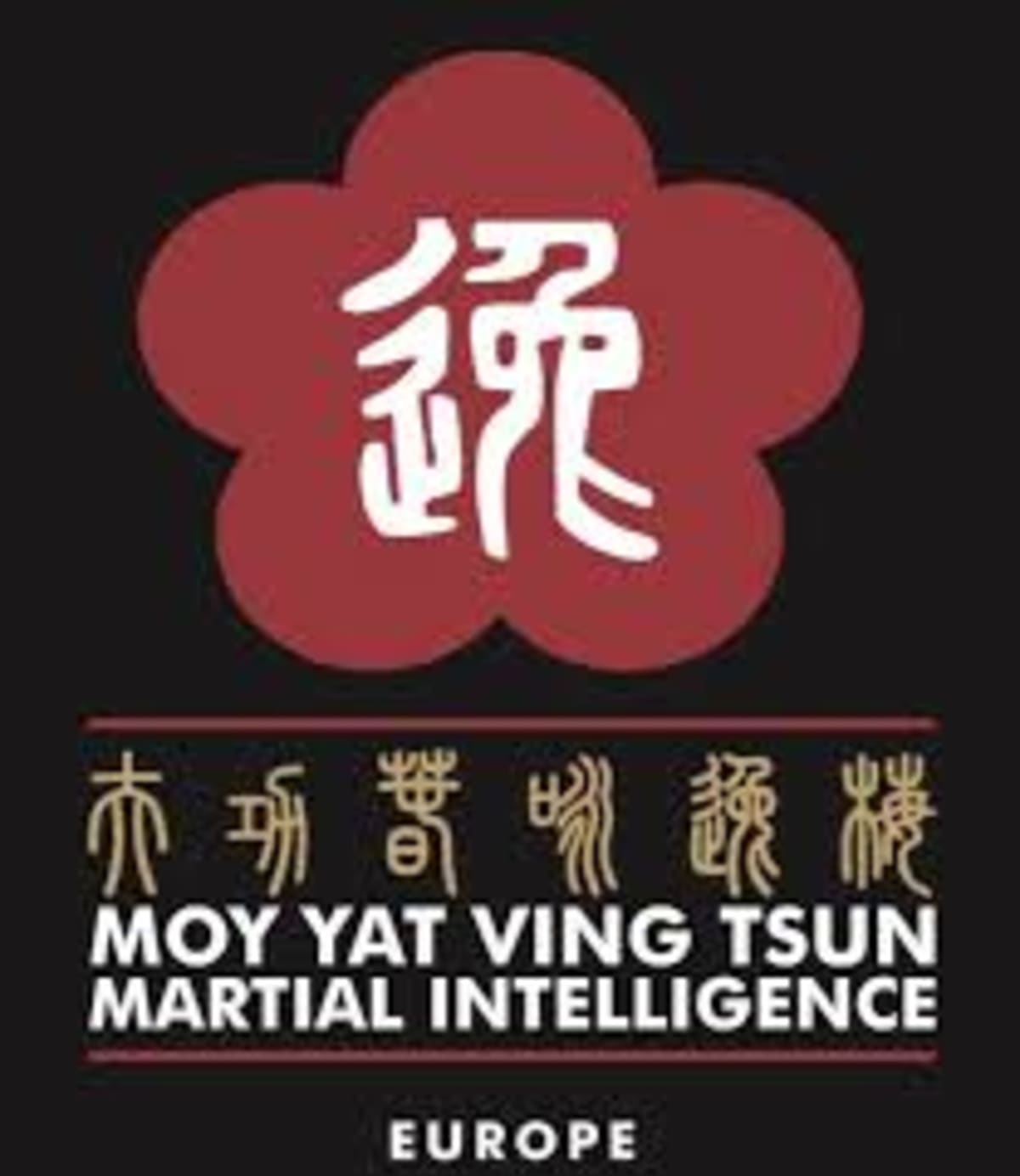 MOY YAT VING TSUN MARTIAL INTELLIGENCE EUROPE - Karate a Las Rozas de Madrid