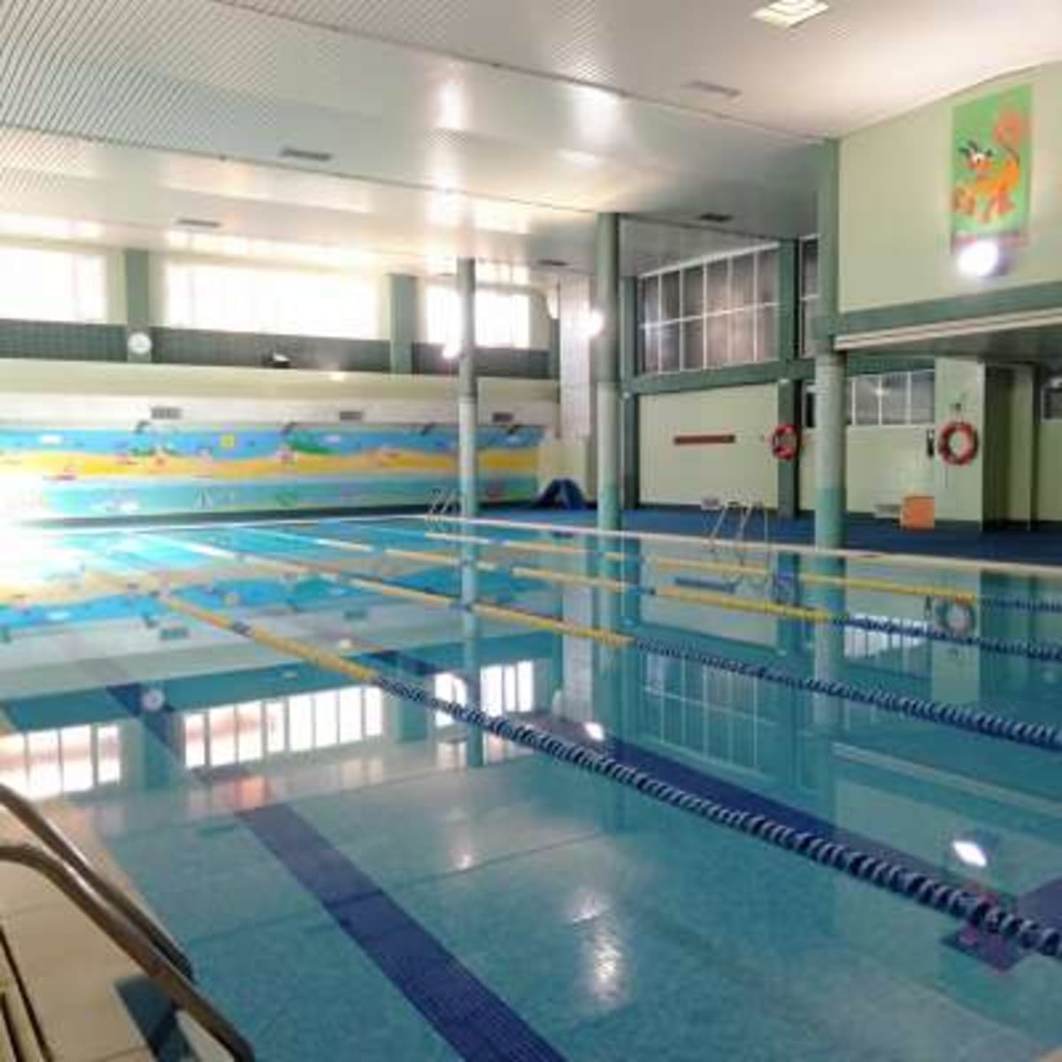 Centro Educativo Punta Galea - Natacion in Las Rozas de Madrid