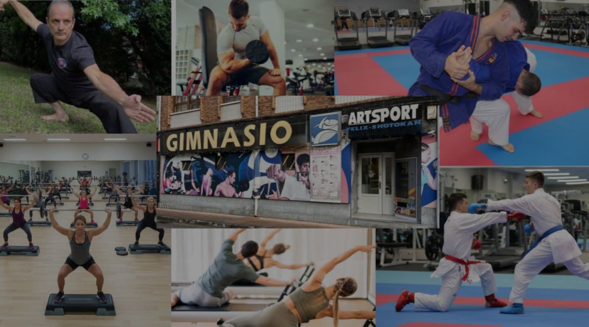 Gimnasio Artsport Félix-Shotokan - Karate in Langreo