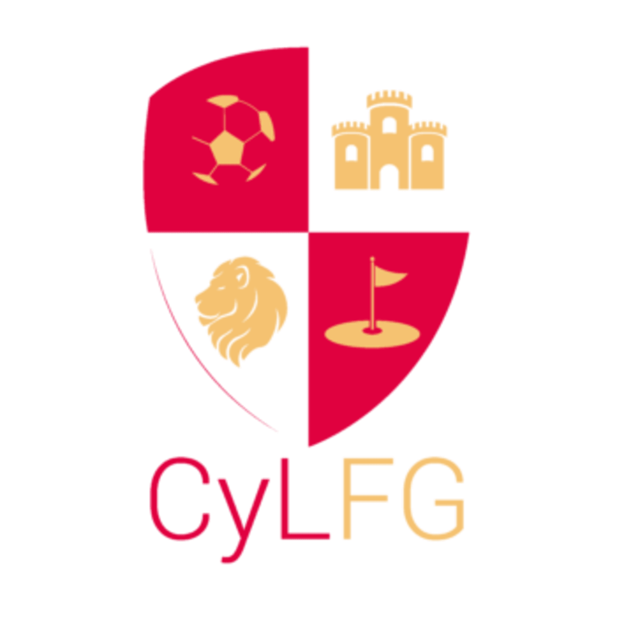 Castilla y León FootGolf - Golf en Cuéllar