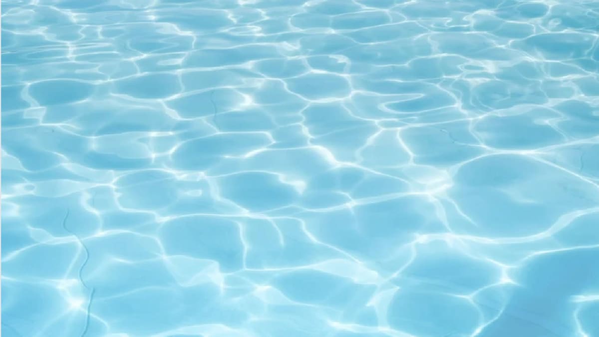 Club Natación Guadalajara - Natacion a Guadalajara