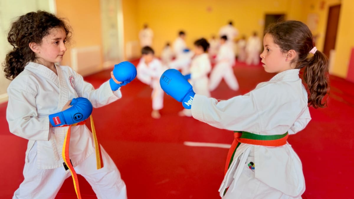 Club de Karate Ángel Ramiro - Judo a Las Rozas de Madrid