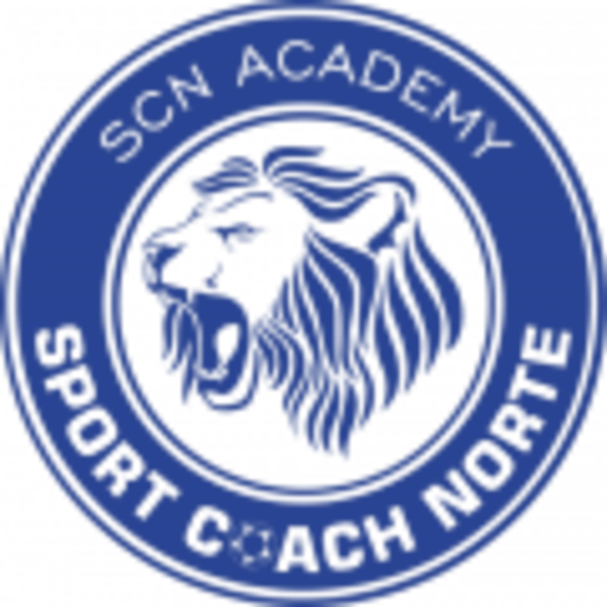 SCN Academy - Fútbol en Molinaseca