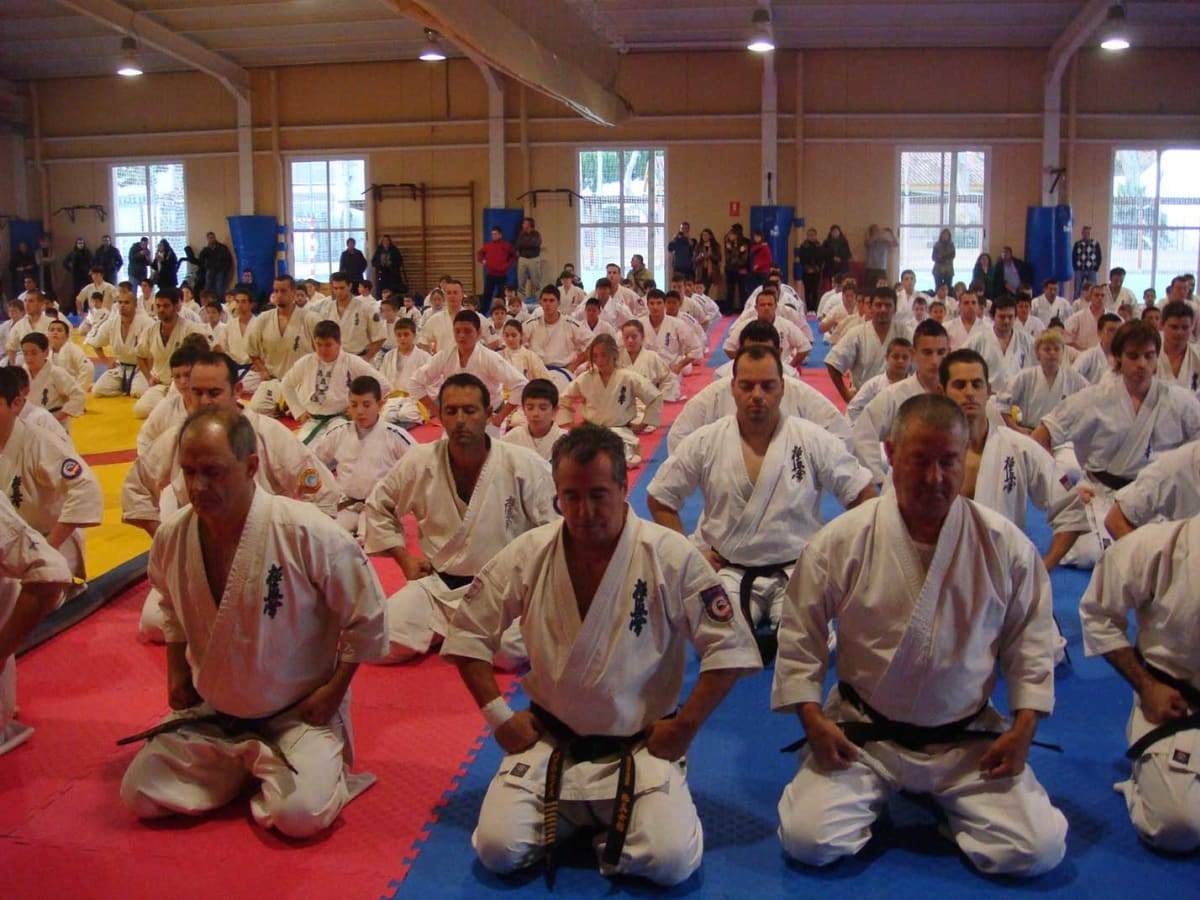 World Kyokushin Budokai - Karate a Lorca