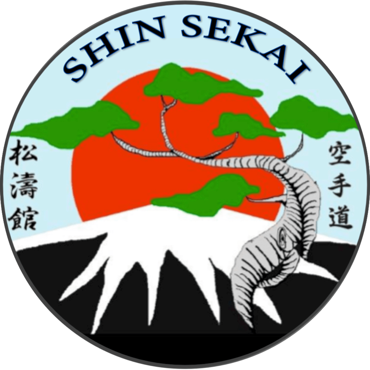 Shin Sekaï Karate - Karate in Toulouse