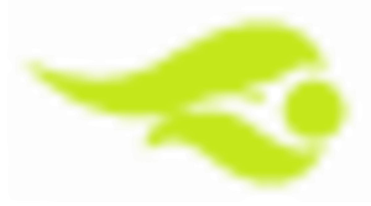 Albi Sport Clube - Padel in Castelo Branco