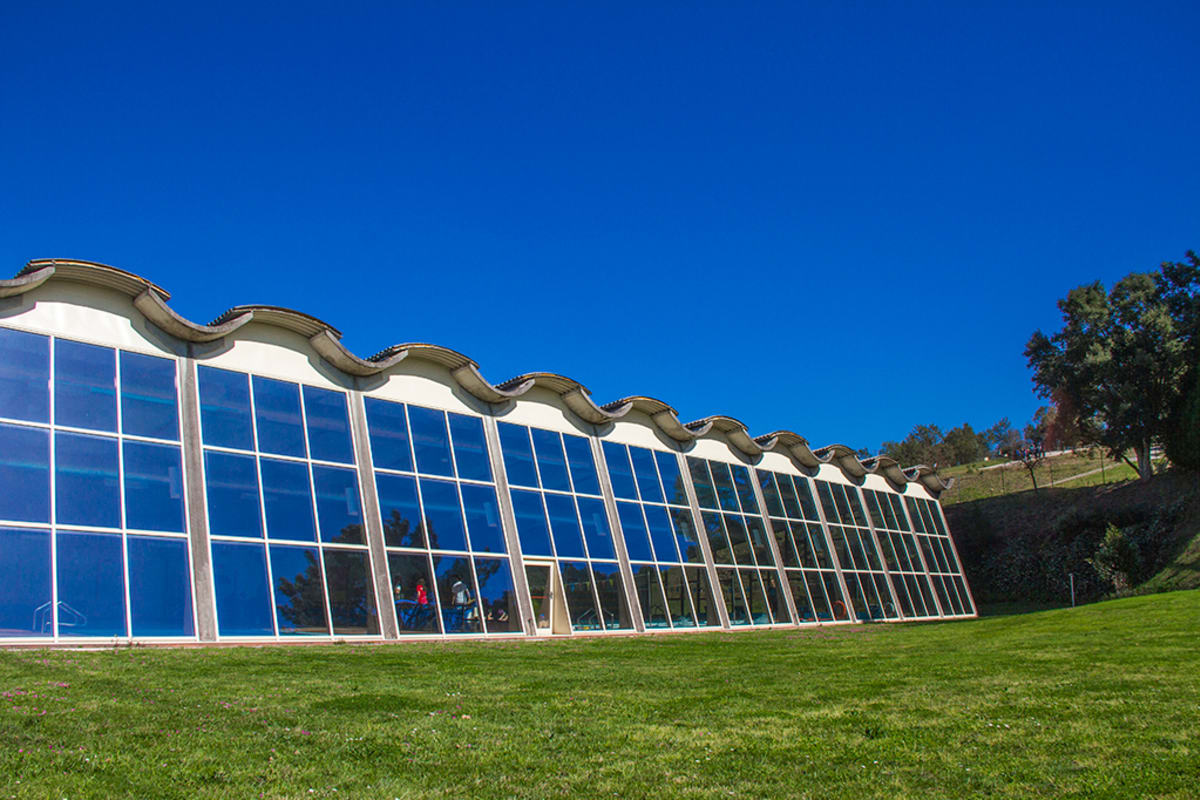 Municipal pools of Ponte de Lima - Natacion a Ponte de Lima