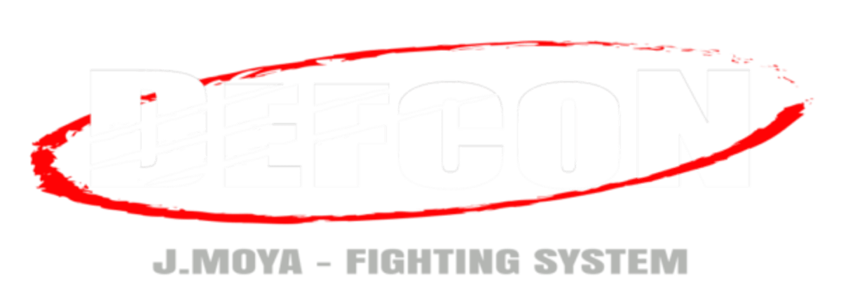 Warriors Academy - Karate a Elche