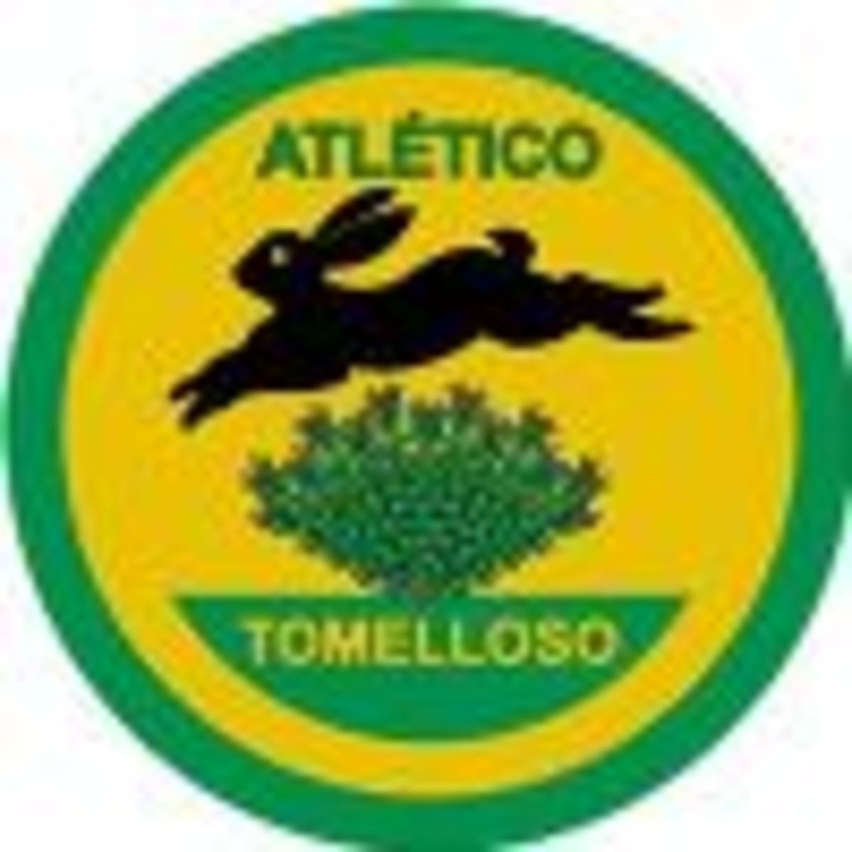 Atlético Tomelloso - Fútbol in Tomelloso