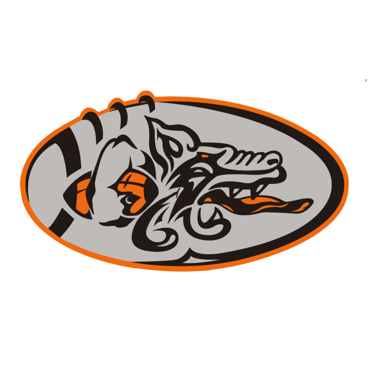 Badalona Dracs Football Team - Futbol_americano in Badalona