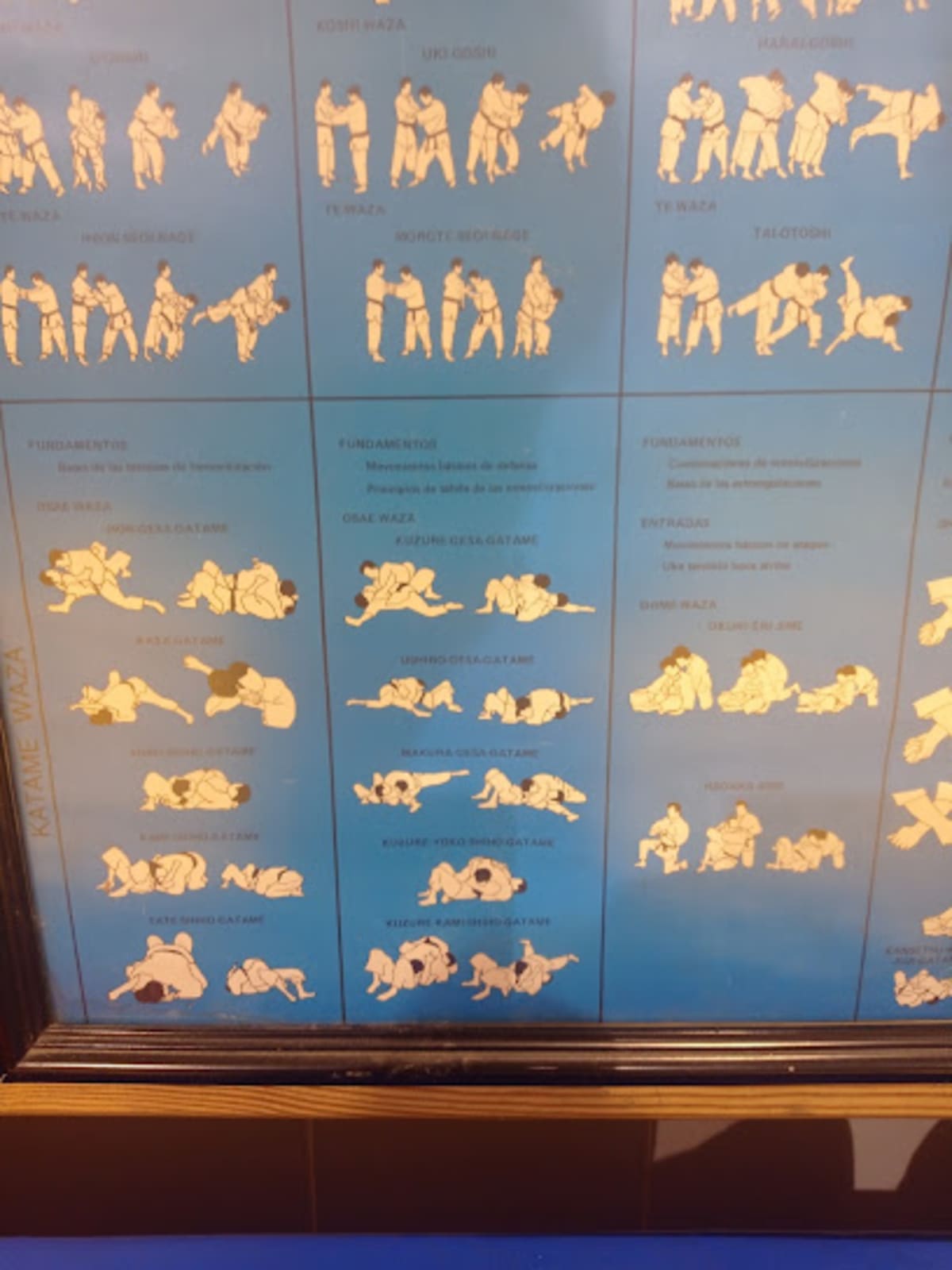 Terramelar Club Judo - Judo a Paterna