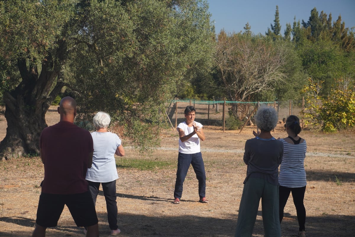 ACEVIP tai chi and meditation - Karate in Luz