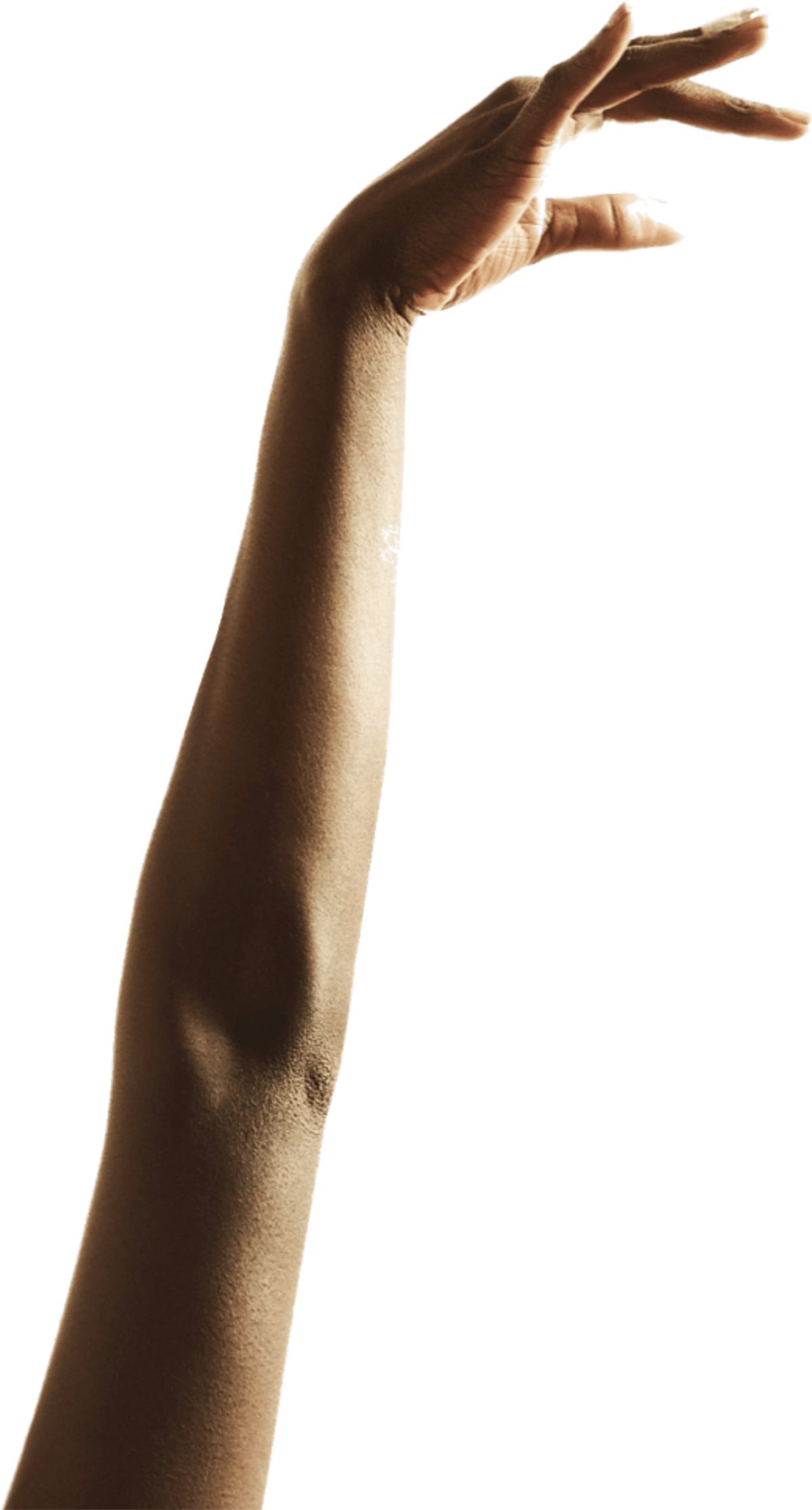 Judo Academy - Judo a Cosenza