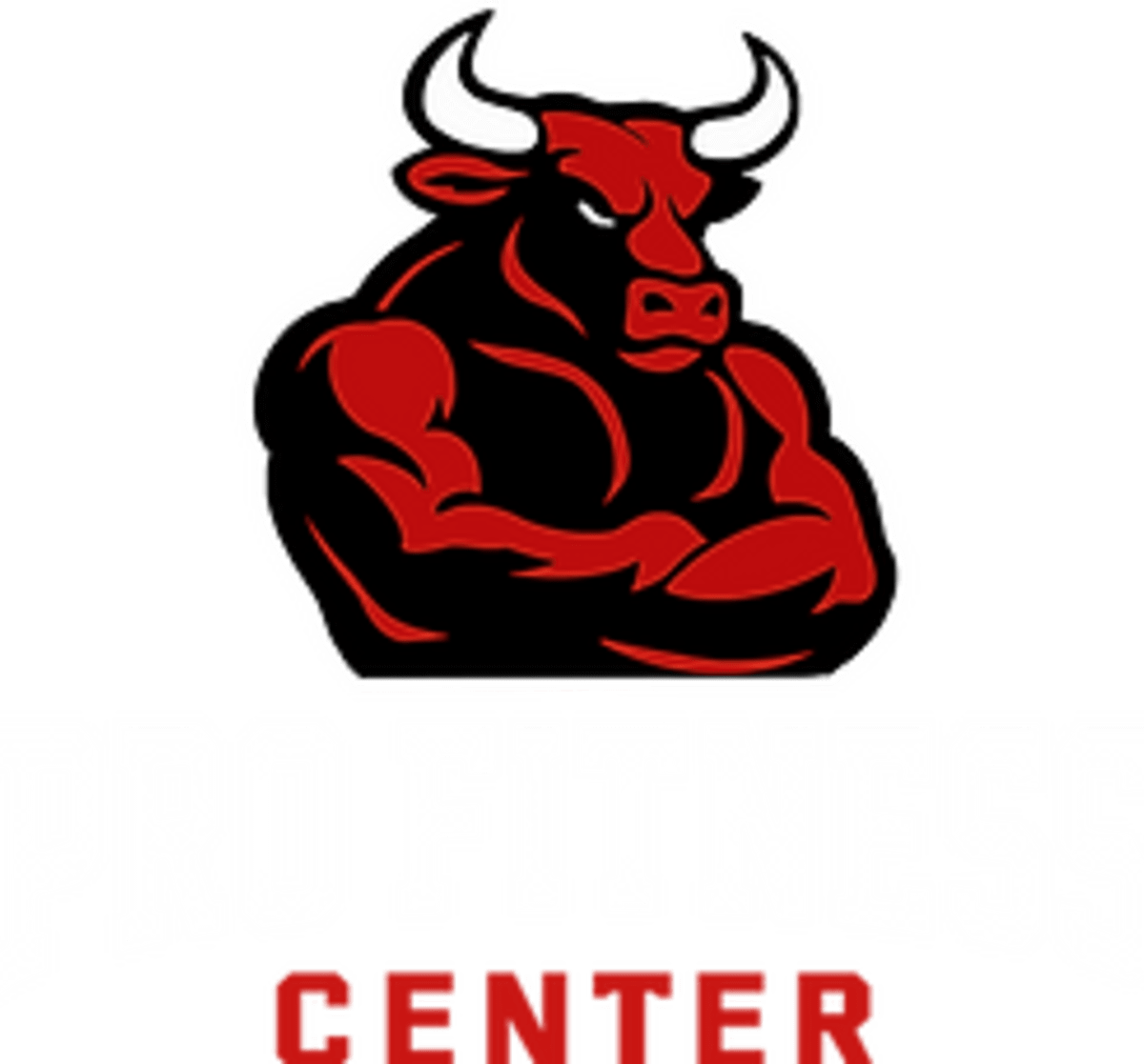 PRO FITNESS CENTER - Karate a Vinaròs